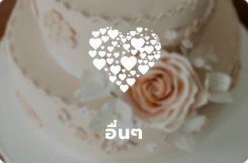 หมวดหมู่อื่นๆ